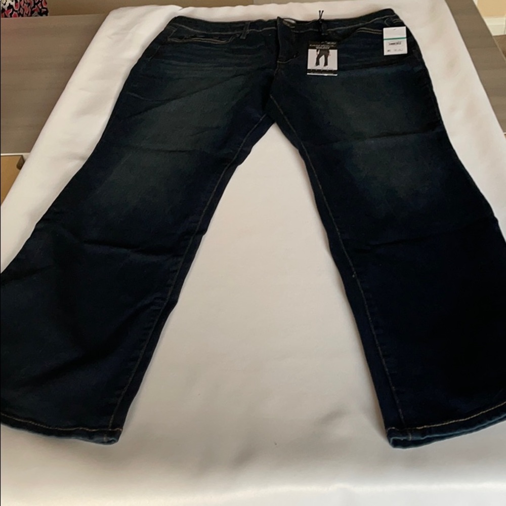 Sofia Vergara+size 16 short+dark wash